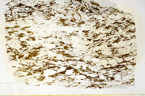 Plane Polarized, S86344