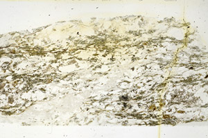 Plane Polarized, S86346