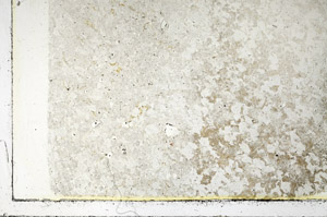 Plane Polarized, S86351