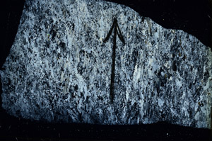Cross Polarized, S86352