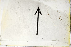 Plane Polarized, S86352
