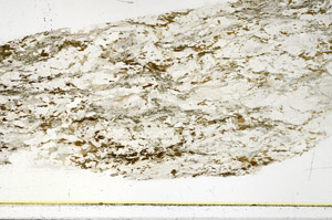 Plane Polarized, S86364