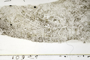 Plane Polarized, S86366/A