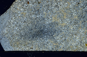 Cross Polarized, S86368