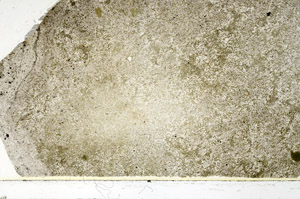 Plane Polarized, S86368