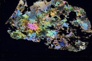 Cross Polarized, S86412