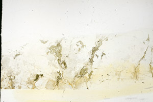 Plane Polarized, S86413