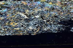 Cross Polarized, S86416