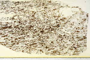 Plane Polarized, S86423