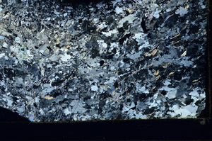 Cross Polarized, S86424