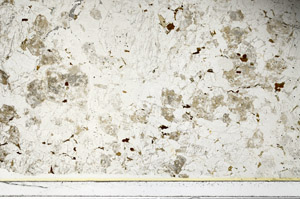 Plane Polarized, S86428