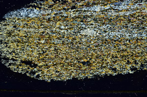 Cross Polarized, S86436