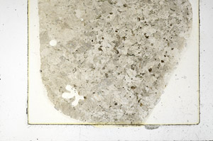 Plane Polarized, S86443