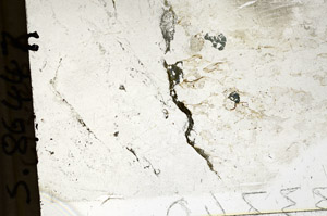 Plane Polarized, S86447