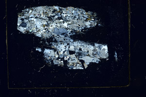 Cross Polarized, S86451