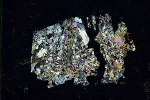 Cross Polarized, S86459