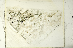 Plane Polarized, S86460
