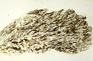 Plane Polarized, S86462