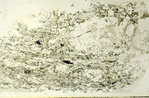 Plane Polarized, S86463