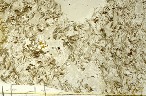 Plane Polarized, S86464