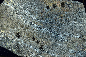 Cross Polarized, S86467