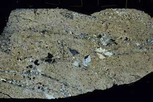 Cross Polarized, S86468