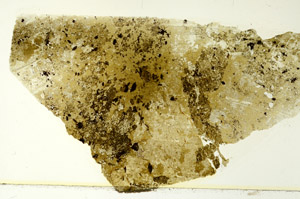 Plane Polarized, S86469