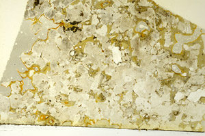 Plane Polarized, S86471