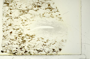 Plane Polarized, S86472