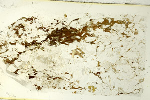 Plane Polarized, S86480