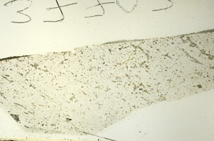 Plane Polarized, S86486