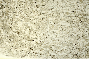 Plane Polarized, S86495