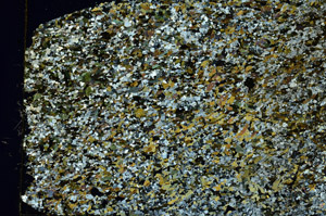 Cross Polarized, S86496