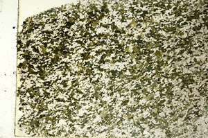 Plane Polarized, S86496
