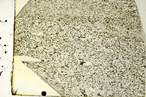 Plane Polarized, S86498