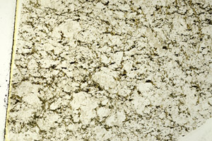 Plane Polarized, S86499