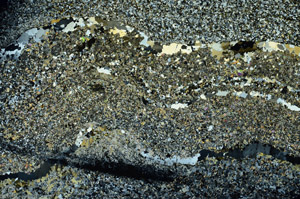 Cross Polarized, S86502