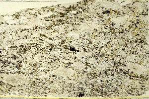 Plane Polarized, S86504