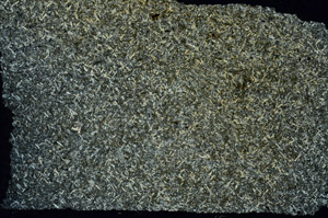Cross Polarized, S86511