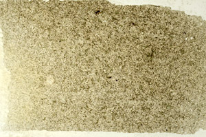 Plane Polarized, S86511
