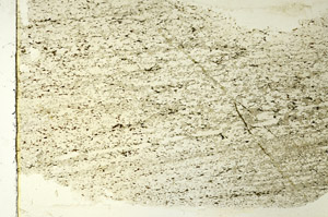 Plane Polarized, S86516