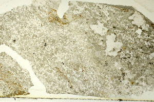 Plane Polarized, S86517