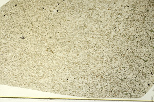 Plane Polarized, S86519