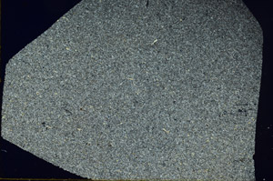 Cross Polarized, S86520