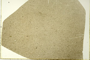 Plane Polarized, S86520
