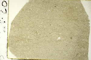 Plane Polarized, S86521