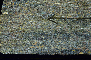 Cross Polarized, S86523