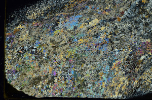 Cross Polarized, S86524