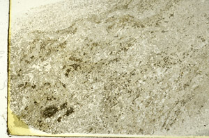 Plane Polarized, S86524
