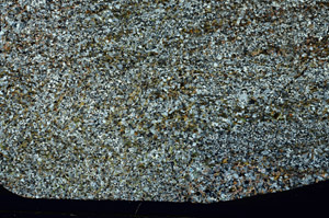 Cross Polarized, S86525